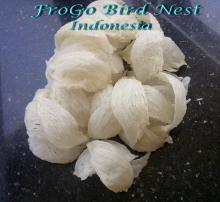 Bird's Nest