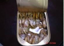  canned   clam 