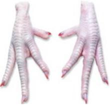 Frozen Chicken Feets/Paws