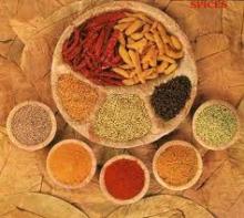  Spice s:  Chilli , Ginger, Garlic, Turmeric, Anise, Lemongrass, Onion