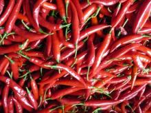  CHILLI : Fresh,  Frozen , Dried, Powder