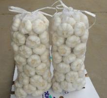 Snow white fresh garlic 5cm