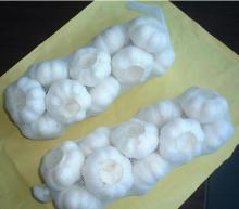 Snow white fresh garlic 6cm