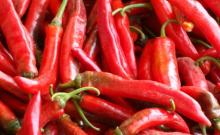 Fresh Organic Red Chili