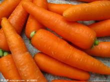 2013 Fresh Carrot in Carton