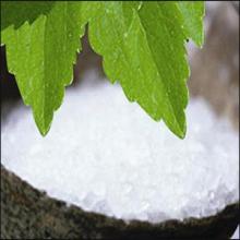 stevia