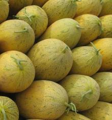 melon
