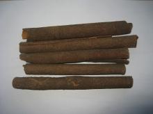 dehydrated AD cassia tube