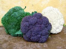 White and Purple Cauliflower Florets Forsale