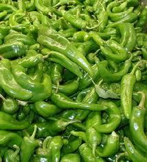 Red and Green Chile Pepper Forsale