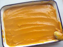 apricot puree concentrate