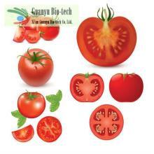 Lycopene