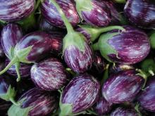 Egg Plant(aubergine) And Ravaya(long slender) Forsale