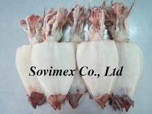 Dried squid