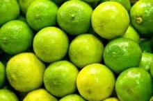 FRESH LIME