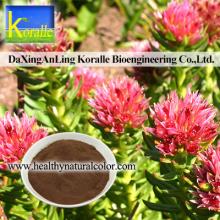 rhodiola rosea extract