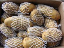  2012   fresh  potato