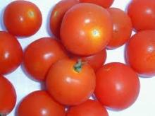 2012 Hot Sales Tomatoes