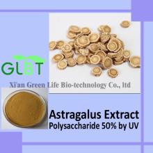 Astragalus Extract