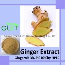Ginger Extract