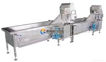 Vegetable/Fruit Washing & Disinfection Line DBWA-1000