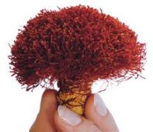 PURE SAFFRON BUNCH