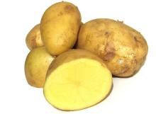  Yellow   Sweet  Potato for Sale