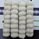 Frozen China Garlic Wholesale