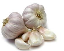 Fresh Food Fresh  Garlic  Import