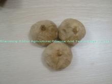 china black garlic