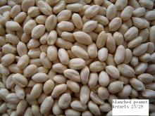 blanched peanut 25/29