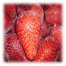 Whole IQF Strawberry