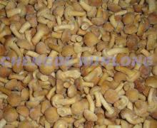  2012   new   crop  IQF nameko mushroom