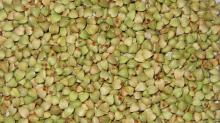 2012 new buckwheat kernel..