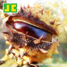Horse Chestnut Seed Extract, Aescin   20 %~98% UV/HPLC