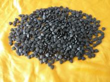 Natural spirulina tablets
