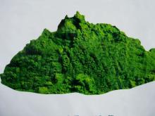 Spirulina powder