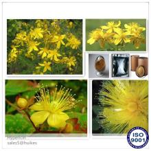 Best Quality 100% Natural Hypericin 0.3%