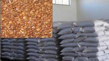 roasted buckwheat kernels