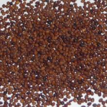 Sweet Marjoram Seeds For Sale