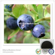 Factory Supply Best Quality  Bilberry   Extract 
