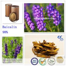 100% Natural  Baicalin 