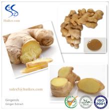 100% Natural Best Quality Ginger Extract