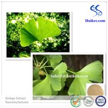 Factory Supply High Quality 100% Natural Ginkgo Biloba Extract