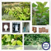 Top Quality 100% Pure Natural Resveratrol