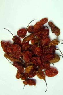 Bhut Jolokia (OVEN DRIED) (ghost Chilli)