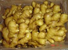 Fresh-kept ginger