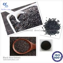 High Quality Black  Rice  Extract