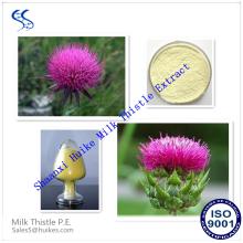 Best Quality NaturalMilk Thistel Extract