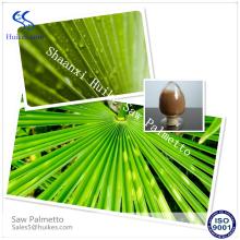 100% Natural Saw Palmetto Extract